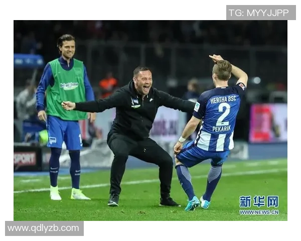 2018年赫塔与霍芬海姆激战回顾精彩瞬间与战术分析